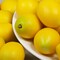 20 pcs Fake Lemons Decorations Faux Fruits Artificial Yellow Lemons